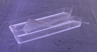 Small plastic model of Shallow Water Skimmer